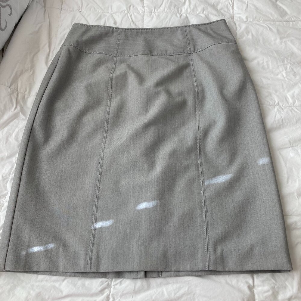 Lined Dress Skirt